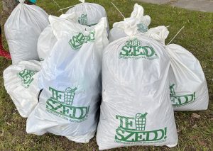 TeSzedd_2025_kep_ (3)_honlapra